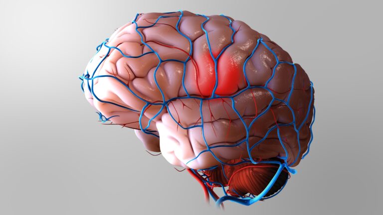Medical illustration from Vitals Daily