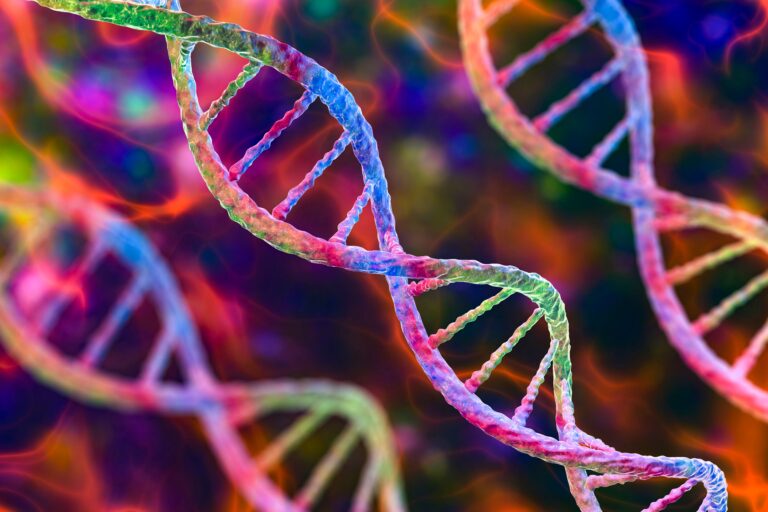 Genome
