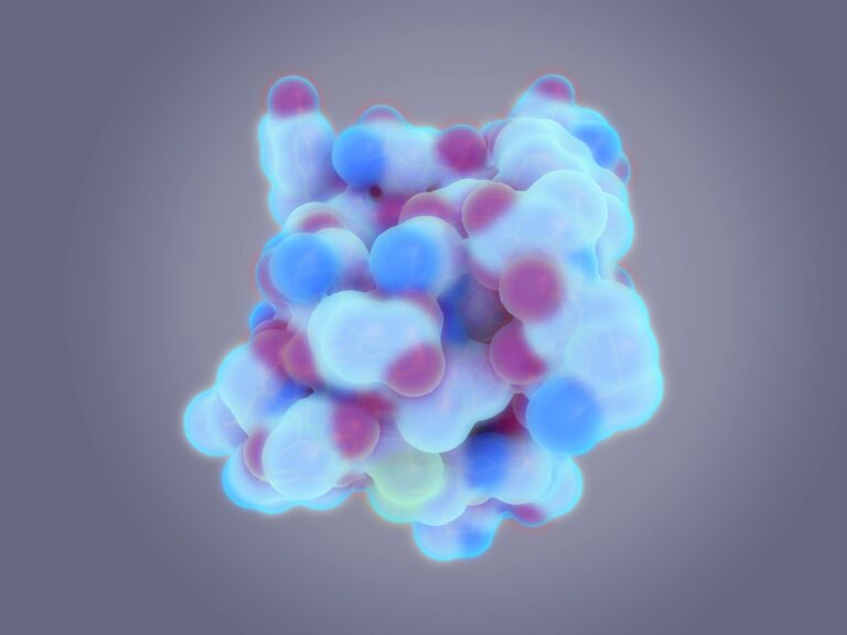 Medical illustration for The Heart's Metabolic Fuel: Insulin Resistance and Myocardial Function