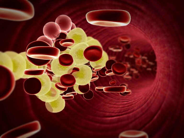 Medical illustration from Vitals Daily