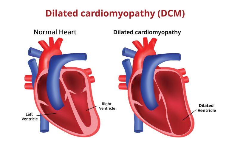 Medical illustration from Vitals Daily