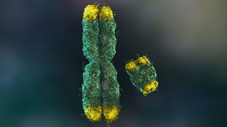 Medical illustration from Vitals Daily