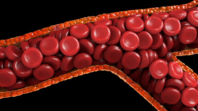 Medical illustration from Vitals Daily
